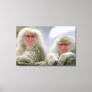 Search for snow monkey Nagano
