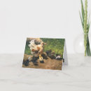 Search for farmyard cards Birds