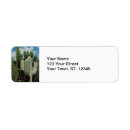 Search for new mexico return address labels Desert