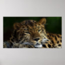 Search for earth day animals posters Nature