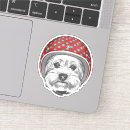 Search for vintage aviation stickers Aviator