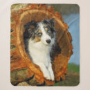 Search for border collie blankets Cute