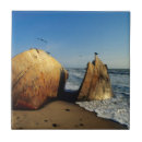 Search for namibia tiles Colour image