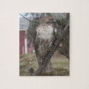 Search for hawk puzzles Animal
