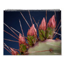 Search for pear photography Cacti