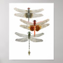 Search for dragonfly art Butterfly