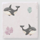 Search for whales coasters Killer whale