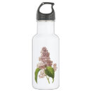 Search for syringa Blossom
