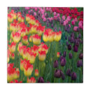 Search for jaynes gallery tiles Orange
