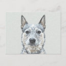 Search for acd postcards Blue
