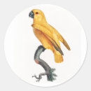 Search for exotic pet stickers Parrot