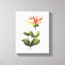 Search for redoute canvas prints Botany