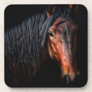 Search for portraits coasters Animal