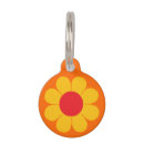 Search for power pet supplies Daisies