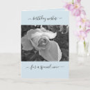 Search for special niece birthday cards Pretty