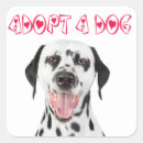Search for adoption stickers Adopt a dog