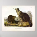 Search for fiber posters Color