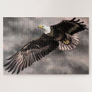 Search for storm puzzles Flying