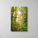 Search for vibrant canvas prints Photography