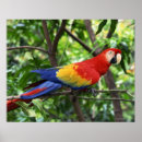 Search for wild side posters Wildlife