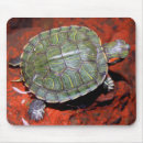 Search for aquatic mousepads Pond