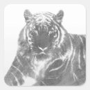 Search for cat outline stickers Animal