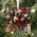 Search for sphynx cat christmas tree decorations Pet