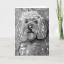 Search for cavapoo cards Cockapoo