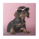 Search for dachshund tiles Pets