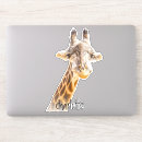 Search for cute giraffe stickers Wild animal