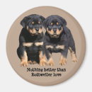 Search for working dogs magnets Puppies