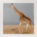 Search for giraffe puzzles Girl