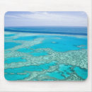 Search for coral reef mousepads Tropical