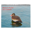 Search for duck calendars Colourful