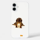 Search for squirrel cases Fun