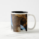 Search for bermuda mugs Tropical