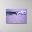 Search for seagull canvas prints Grey
