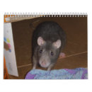 Search for rat calendars Rodent