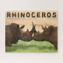 Search for rhinoceros puzzles Endangered