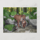 Search for cougar postcards Mountain