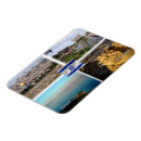 Search for dead magnets Souvenir