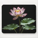 Search for lotus mousepads Blossom