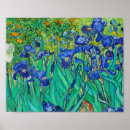 Search for vintage irises posters Vincent
