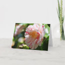 Search for peppermints cards White