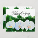 Search for white orchids cards Greenery