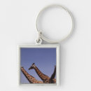 Search for animal pattern key rings Giraffe