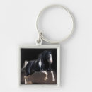 Search for viii key rings Animals