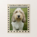Search for griffon Petit basset griffon vendeen
