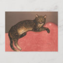 Search for cushion postcards Cat