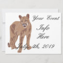 Search for cougar invitations Mountain lion